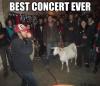 best concert ever, goat, meme, wtf