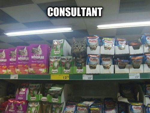grocery store, cat food, consultant, meme