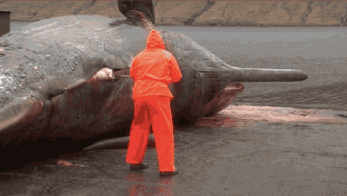exploding whale, gif, eww, kool aid mascot