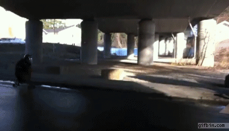 man on longboard tries the loop de loop, fail