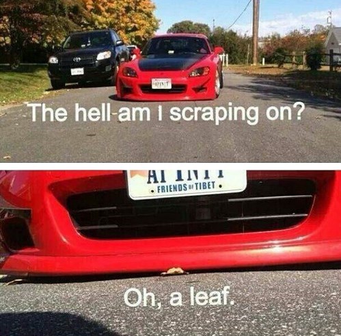car, scraping on a leaf, low rider