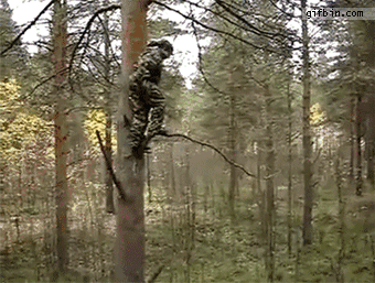 gif, jump from tree into blanket, fail, ouch