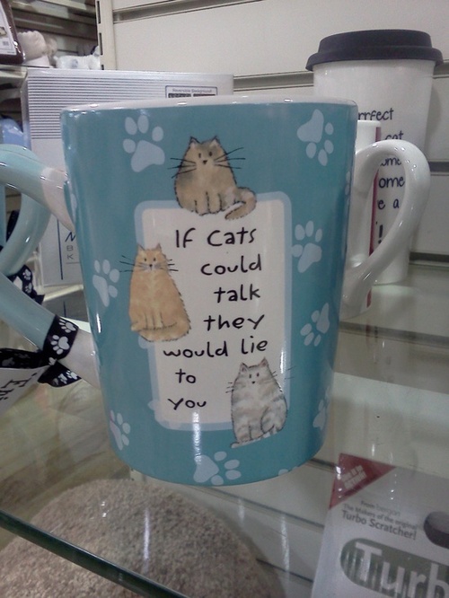 coffee cup, if cats could talk they would lie to you, one liner
