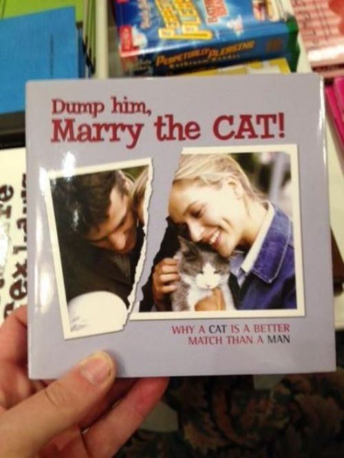book, wtf, dump him, marry the cat
