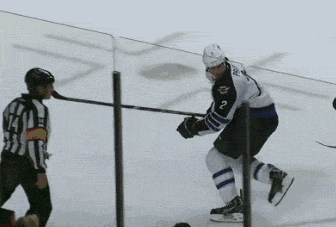 gif, hockey, fan steals helmet