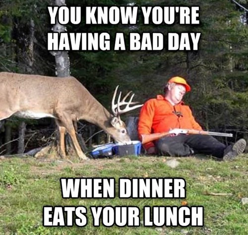 bad day, when dinner eats your lunch, hunting, fail, lol, deer
