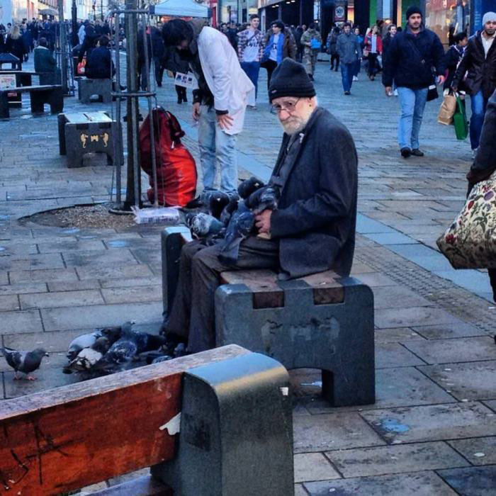 homeless man, pigeons