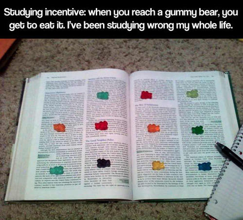 studying wrong, gummy bear, paragraph, clever, incentive