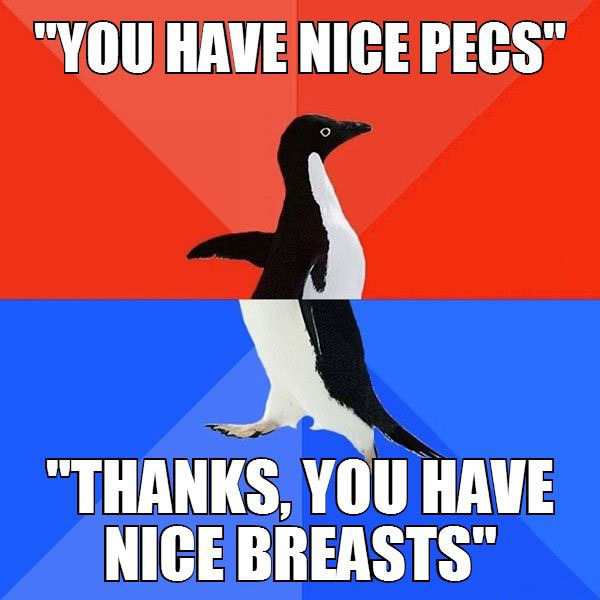 socially awkward penguin, nice pecs, nice breasts