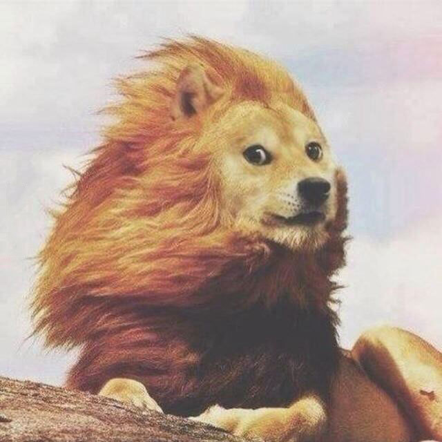 majestic doge, photoshop, meme