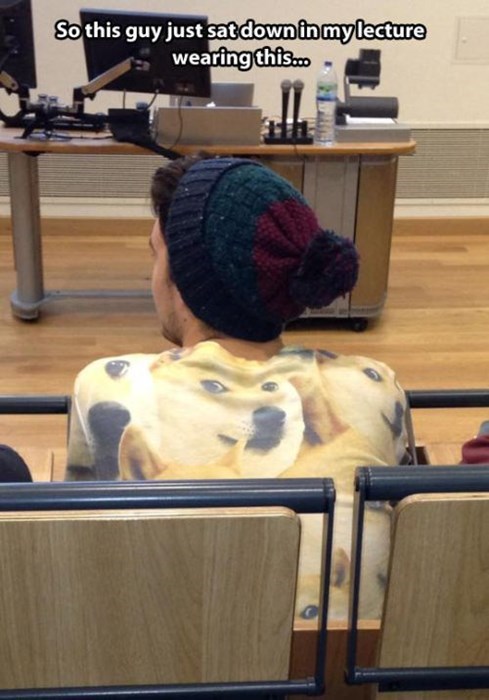 doge, shirt, story, class
