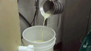 krispy kreme, how it's made, gif, series