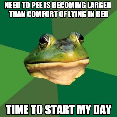 foul bachelor frog, meme, need to pee, comfort of lying in bed