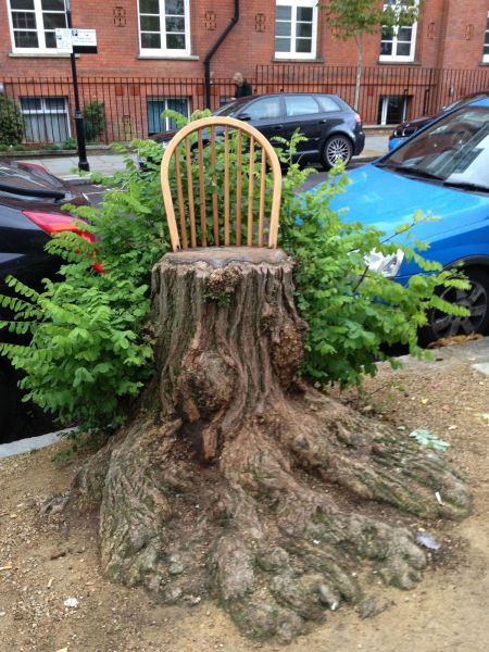 chair, tree stump