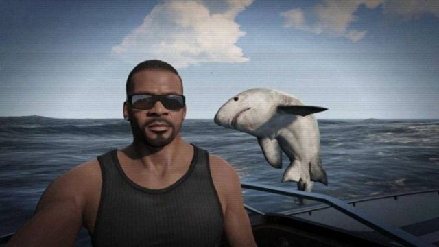shark photobomb, selfie, timing