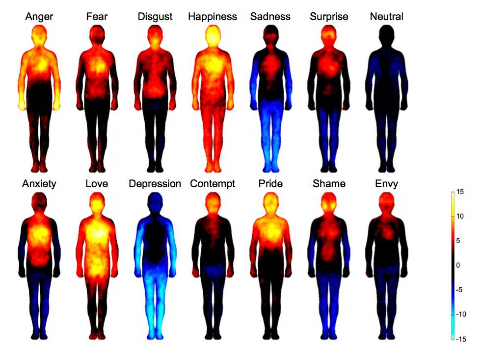 our emotions are directly linked to sensations in specific parts of our bodies