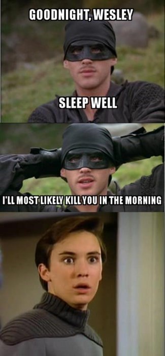 princess bride, goodnight wesley, i'll most likely kill you in the morning