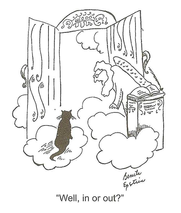 cat's might go to heaven, well, in or out?