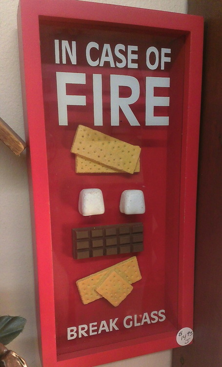 in case of fire, break glass, smores