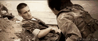 war cat, army scene, wtf, gif