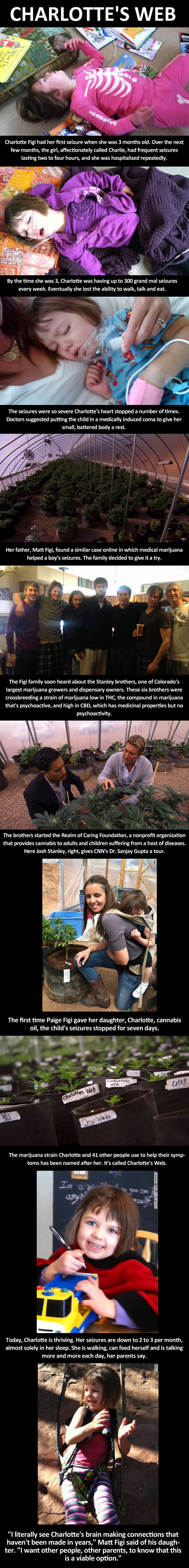 charlotte's web, charlie, medical marijuana, story