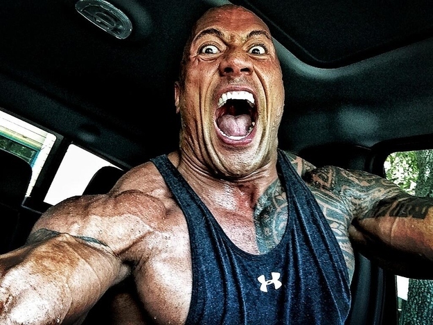 the rock