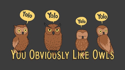 yolo, you obviously like owls