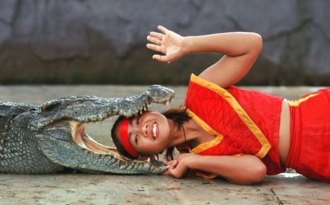 little girl's head inside an alligator's mouth