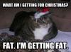 what am i getting for christmas? fat, i'm getting fat, meme, lol