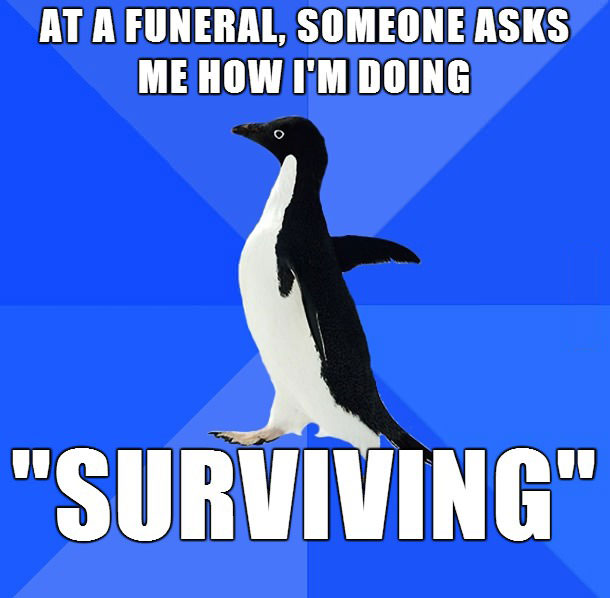 socially awkward penguin, surviving at a funeral