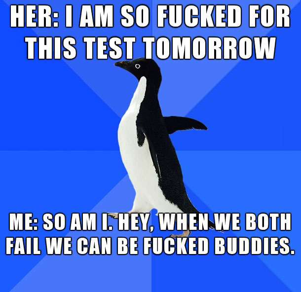 socially awkward penguin, so fucked for this test, fucked buddies, meme