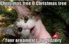 christmas tree, your ornaments are history, cat, meme