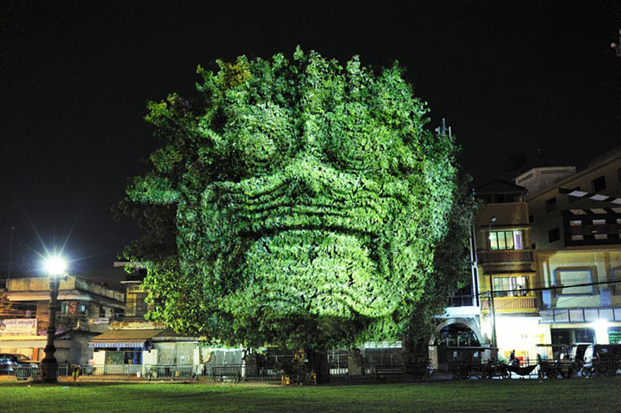 3d projections on trees, art