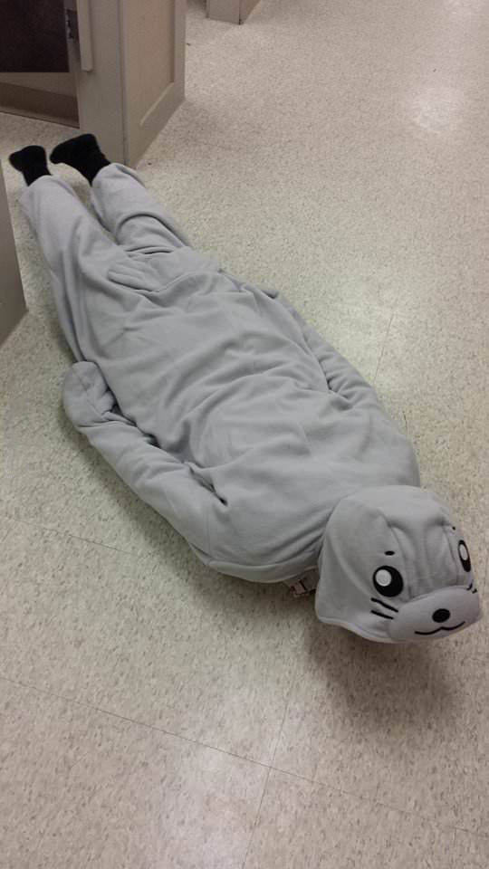 seal pyjamas, lol