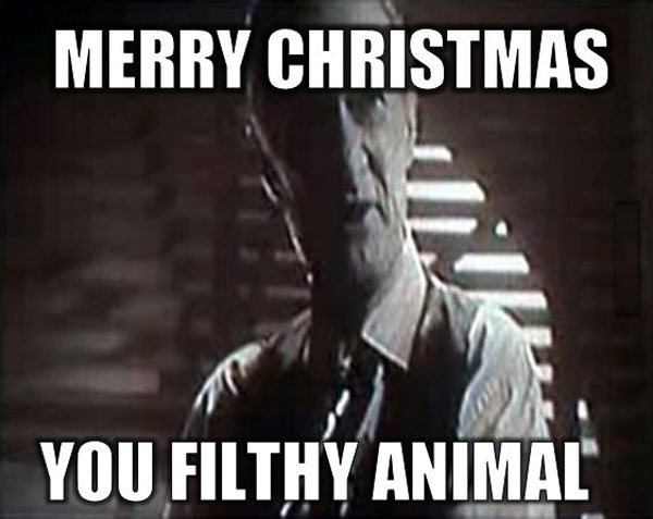 merry christmas you filthy animal, meme, home alone
