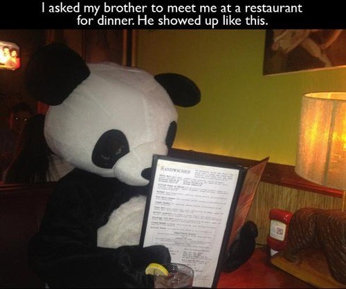 story, panda costume, restaurant