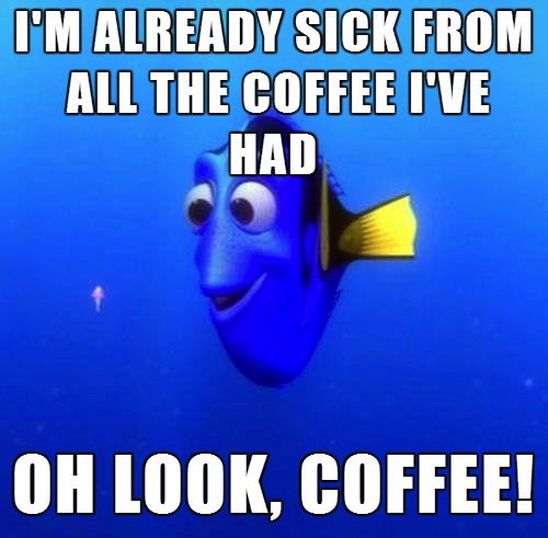 forgetful fish, meme, coffee