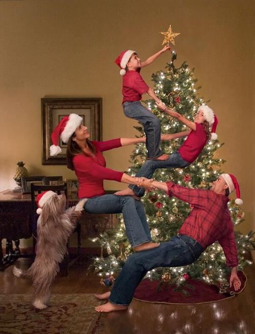 family portrait, christmas, acrobatic, wtf, dog
