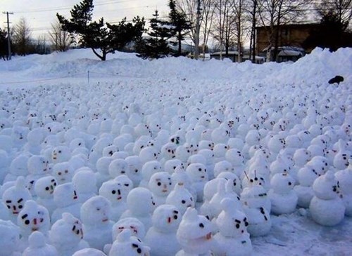 snowman army, meanwhile in canada