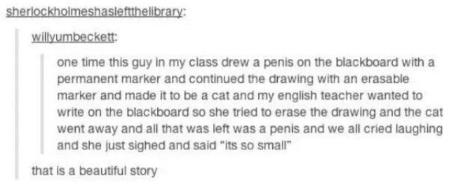 troll, drawing a penis on the blackboard, story