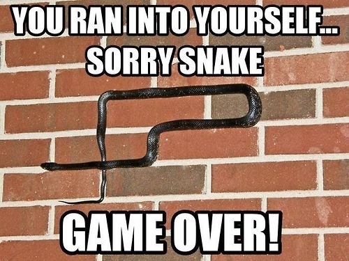 you ran into yourself... sorry snake game over, brick wall