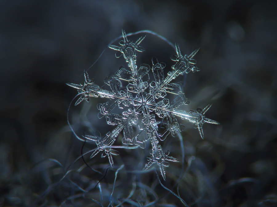 unbelievable close-up photos of snowflakes reveal a side of winter you've never seen