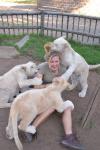 lion cubs, girl, play