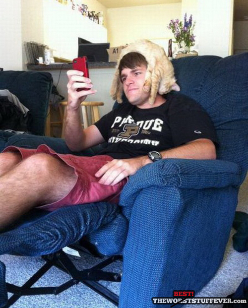 best hairpiece ever, kitten