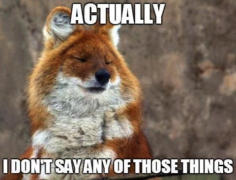 actually i don't say any of those things, fox, meme