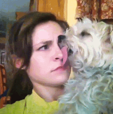 dog, awkward moment, gif, tongue, wtf