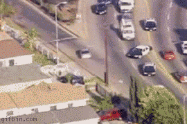 police chase, too many officers, gif