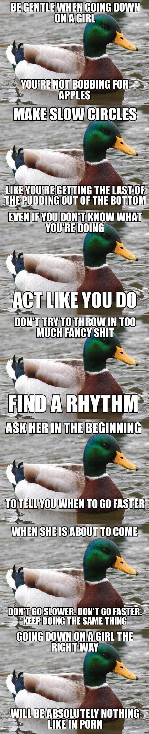 actual advice mallard talks about going down on a girl, meme, series
