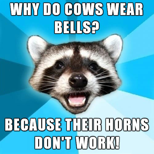 lame pun coon, meme, why do cows have bells? because their horns don't work!