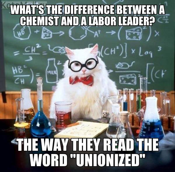 chemistry cat joke, unionized, meme